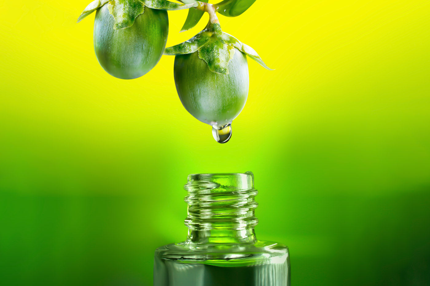 Muscle Buddy Hemp Wellness Products